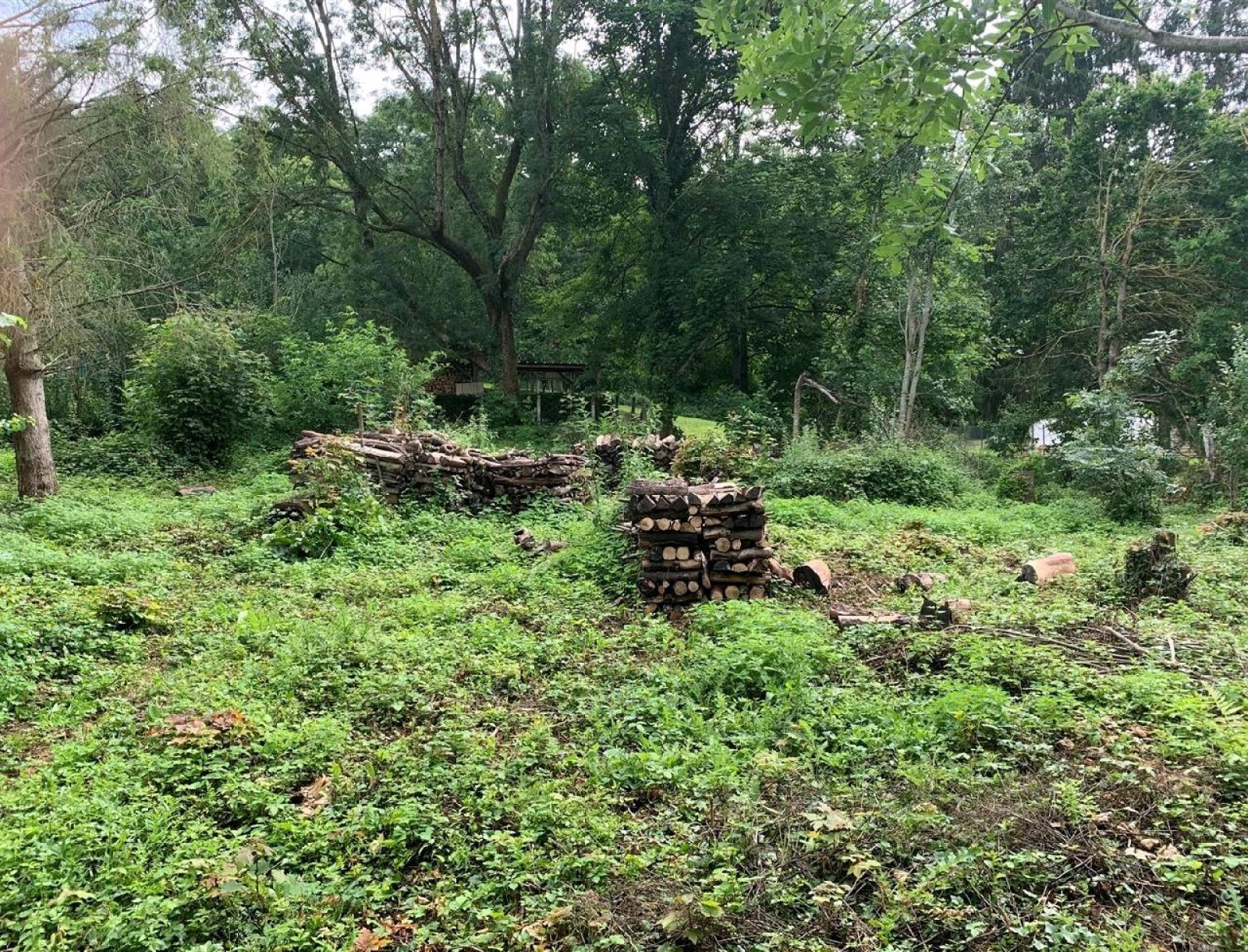 Image_3, Terrain, Sacy-le-Grand, ref :104302