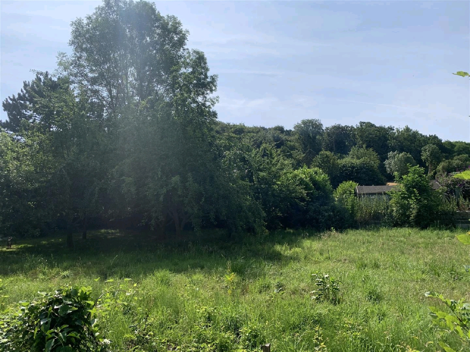 Image_2, Terrain, Verberie, ref :104265