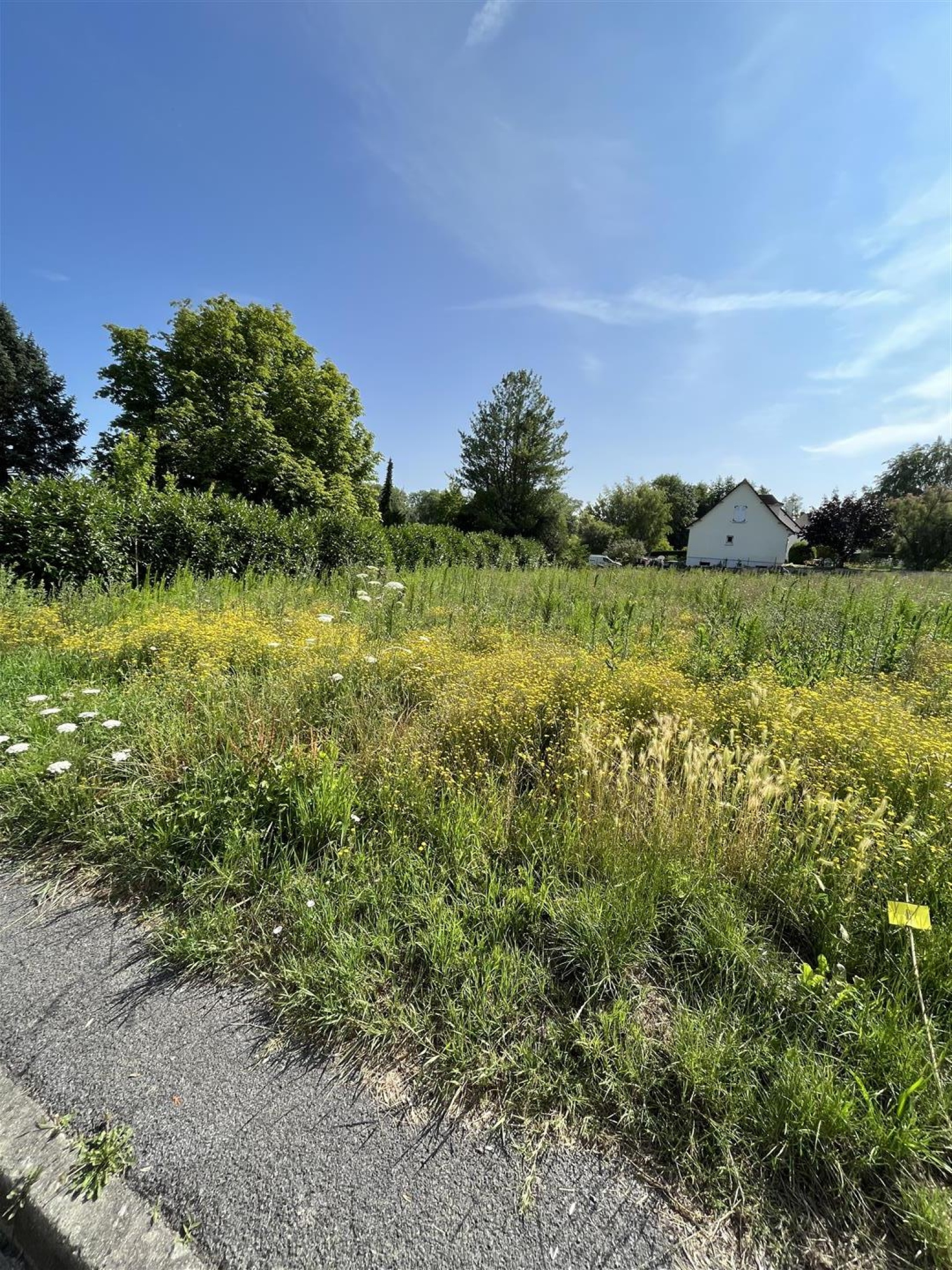 Image_3, Terrain, Verberie, ref :104544