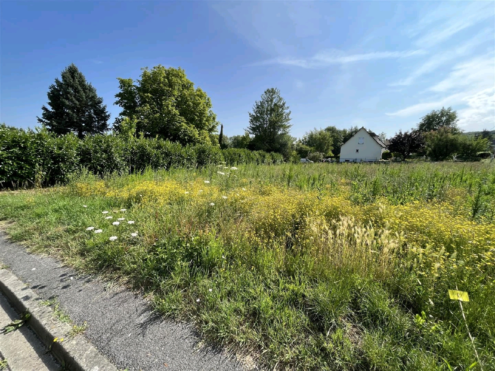 Image_2, Terrain, Verberie, ref :104544
